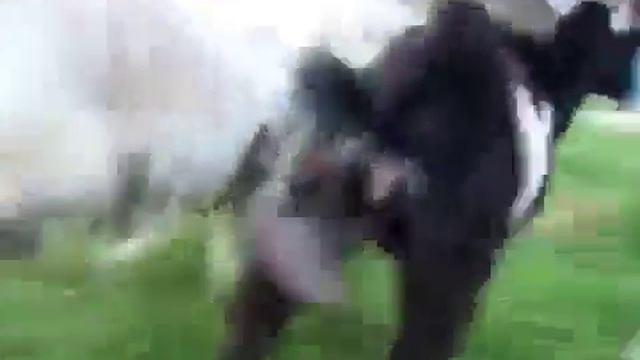 колокольчик динь динь смотреть онлайн