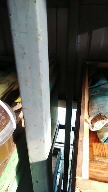 медовый сироп для подкормки пчел смотреть онлайн