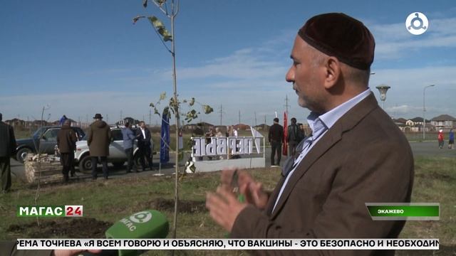 В рамках Всероссийской акции "Сохраним лес" в Ингушети смотреть онлайн