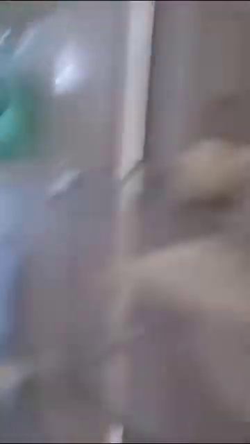 Продукты, содержащие витамин Д в моем холодильнике смотреть онлайн