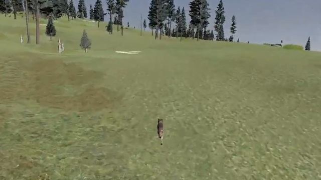 Продолжаем выращивать щенков | WolfQuest: Anniversary Edition Стая Roadkill #2