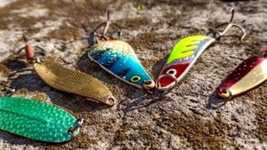 Как ловить щуку с берега осенью на мелководном пруду