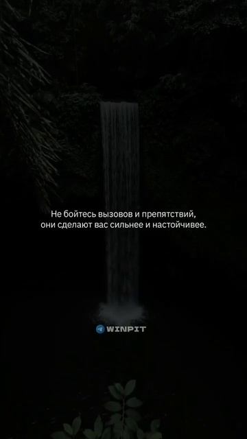 🔥Твоё будущее в нашем ТГ канале ссылка в профиле. #мот смотреть онлайн