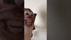 Финансавая пиромида

.для детей