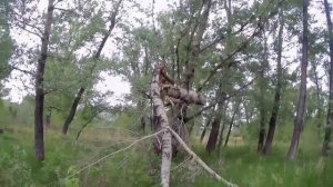 Поездка к реке Алей.😊
