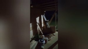 Что за Рай для хоз инвентаря этот сарай;)