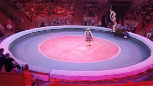 Horses of Zapashny brothers/ Moscow Circus "Horrible Power/ Братья Запашые "Страшная Сила2023(3)