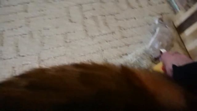 Дамирчик уранил чайник на пол смотреть онлайн