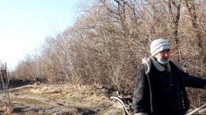 Пенсионеры третий год не могут добиться от администрации привести в порядок берег Ушаковки