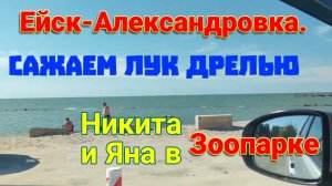 Ейск-Александровка. Сажаем лук севок дрелью. Никита и Яна в зоопарке. Ремонт Ейск.