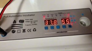 Квочка улетела🤦🏼_♀️Как мы пережили заморозки_14день инкубации в РЯБА 36 инкубатор_ 29 апреля 2025