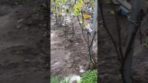 Ставропольский край 12.05.2025