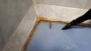 С кайфом отмыла всю квартиру  с паровой шваброй Kitfort KT-1