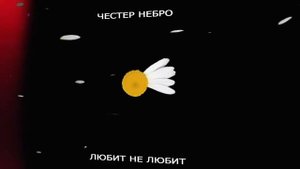 Честер Небро — Любит не любит