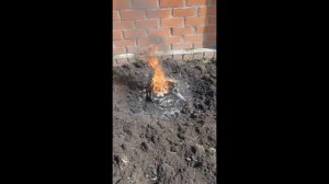 Жгу пеньки 🤓 🔥 🪵
