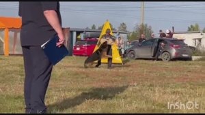 Марвил Юнион Тайфун 🌀