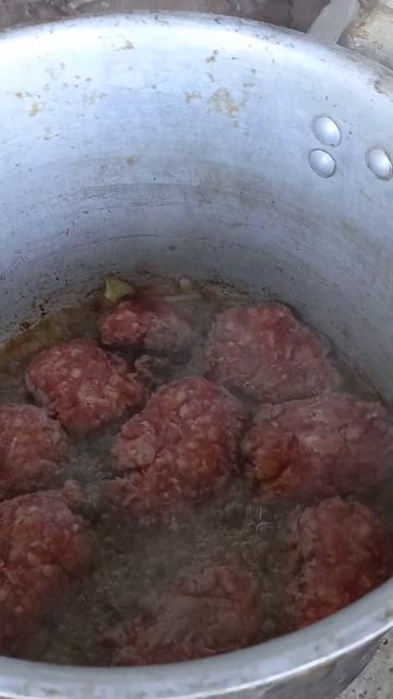 Живой Огонь в печи и на нём жарятся котлеты в скоровар? смотреть онлайн