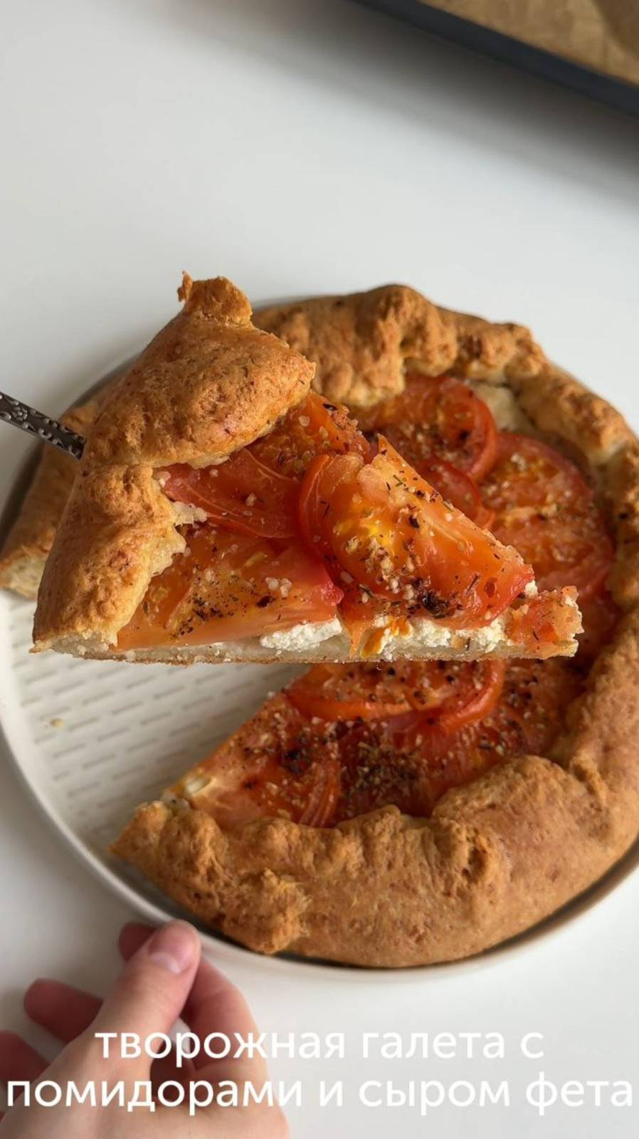 Творожная галета с помидорами и сыром фета от автора lidaieda  🍅 #foodru #рецепты
