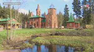 В Ленобласти поисковики обнаружили место массового захоронения мирных жителей / События на ТВЦ
