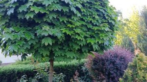 Анапа.. Славянка