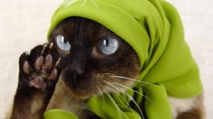 Поздравление всех мастеров маникюра с 8 Марта!