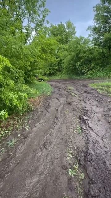 продолжение в инсте: kisylkaa #shorts #offroad #bmw #грязь #машина смотреть онлайн