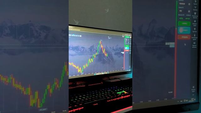 Криптовалюта для начинающих биткоин прогноз торговые смотреть онлайн