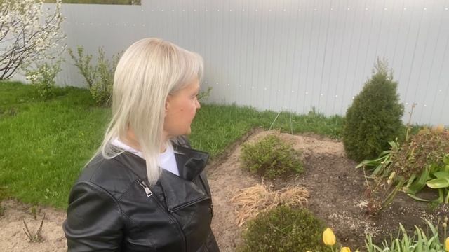 На дачу в деревнюЦветут вишня груша тюльпаны нарциссы07мая2025