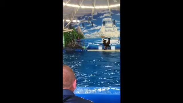 Нижегородский аквопарк смотреть онлайн