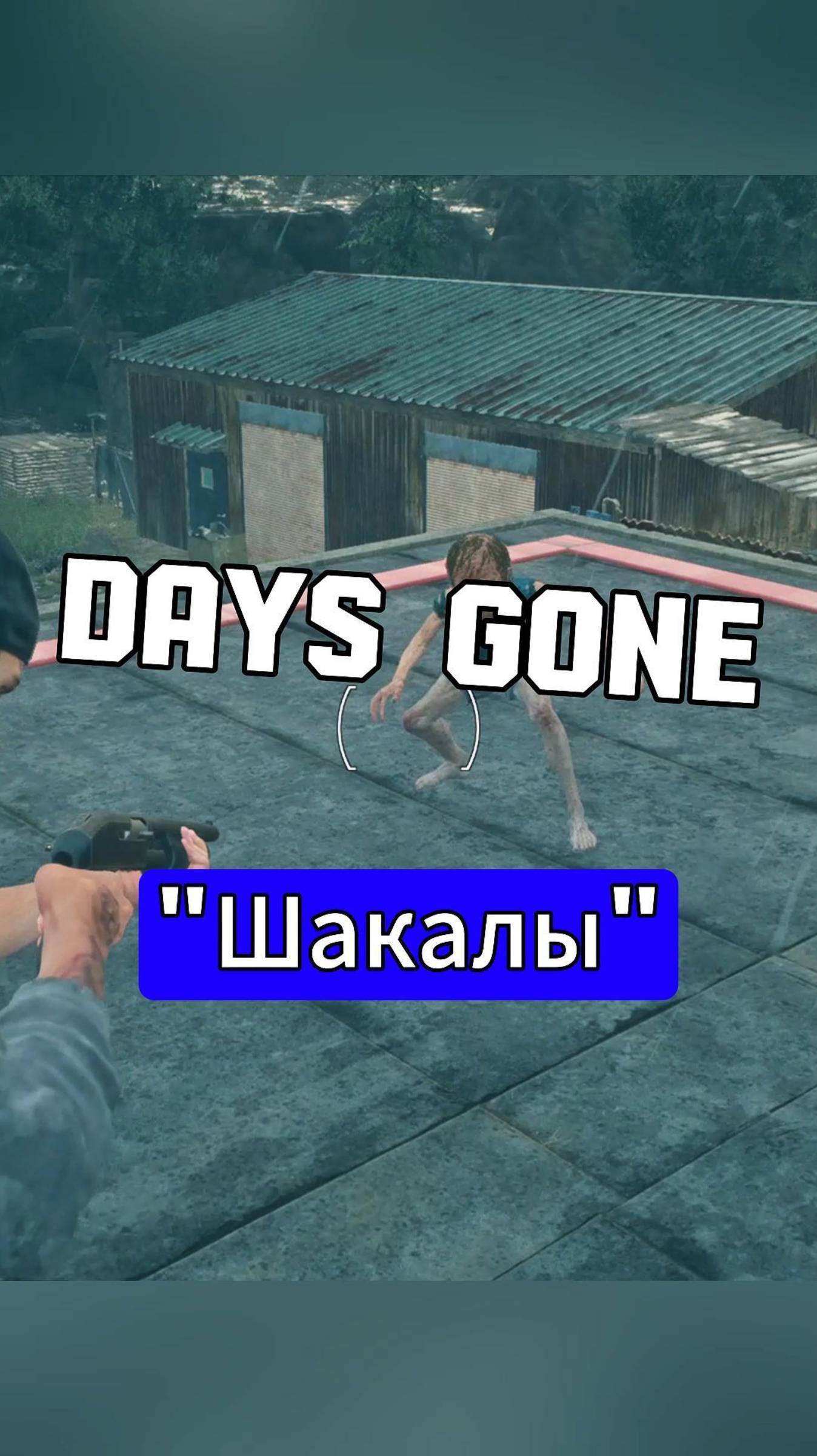 Days Gone | Встреча с "ШАКАЛАМИ"