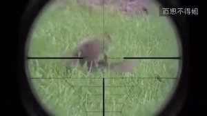 Универсальный солдат 5 суденый день 2017