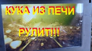 Кукуруза из печи рулит по бели.mp4