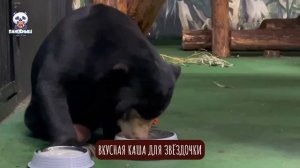 🐻 Медвежонок Звездочка наслаждается вкусной кашей и радует своим аппетитом.