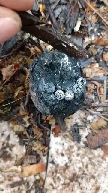 картошка не в печке смотреть онлайн