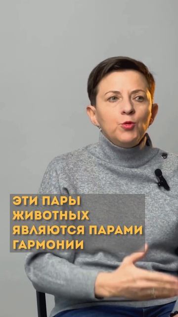 Это поможет найти вашу вторую половинку! #фэншуй #бацз? смотреть онлайн