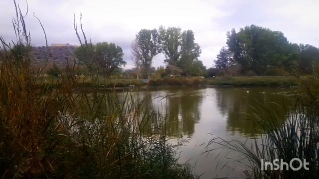 ДЕВА ДЕКАБРЬ Ваше Новое Счастливое Начало┃#гороскоп #