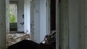 пейнтбол в заброшенном здании