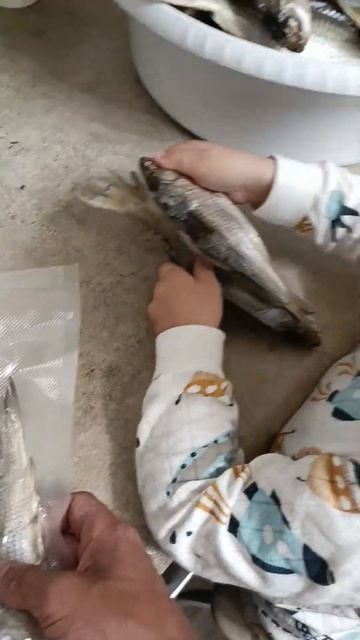 Вакууматор хороший помощник в сохранении улова, этот ?