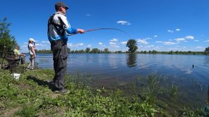 Рыбалка на поплавок на вечерней зорьке в семейном кругу