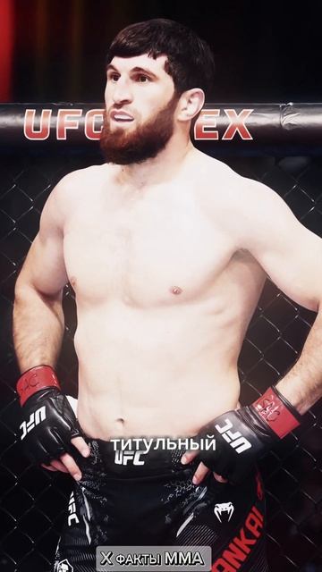 Анкалаев уверен что побьёт Джон Джонса #мма смотреть онлайн