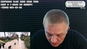Обзор говноконтента из парка львов Тайган, производства картавой 14 апреля