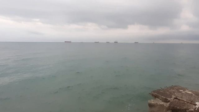 Дельфины у берега. ТревелБлог Апраксина Лада