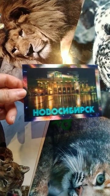 3Д стерео-варио магнит на холодильник. смотреть онлайн