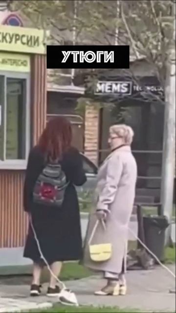 Женщины выгуливают утюги в Анапе #shorts смотреть онлайн
