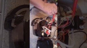 Кофеварка SAECO ARMONIA EASY разборка (disassembly)