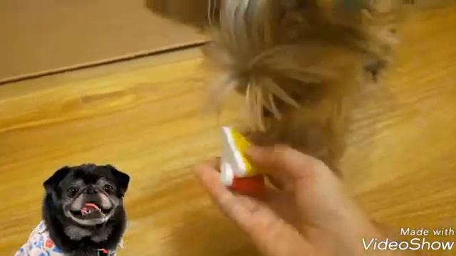 Прикольная канцелярия