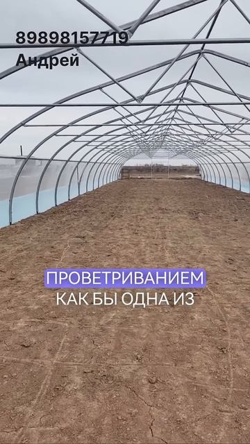 теплица под рассаду капусты #кзт #теплица #стройка #дач смотреть онлайн