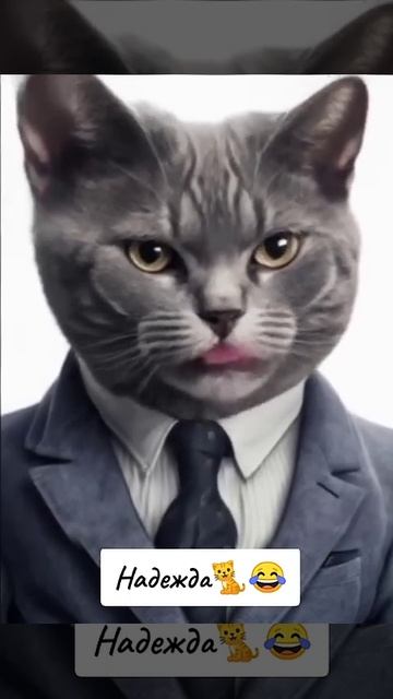 #часы #часынастенные #2025 #время #кот #приколы #котофейка смотреть онлайн