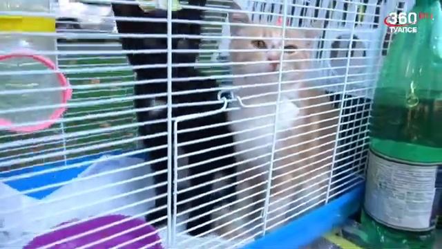 Я очень хочу Домой! смотреть онлайн