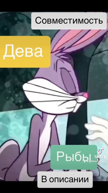 Совместимость Дева и Рыбы - 25%